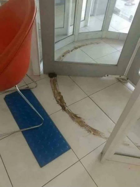 Bildschirmarbeiter - Picdump 10.02.2017