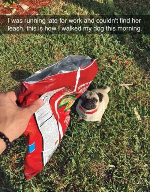 Bildschirmarbeiter - Picdump 17.02.2017