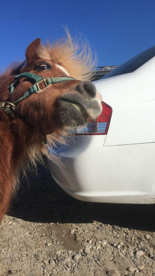 Bildschirmarbeiter - Picdump 17.02.2017