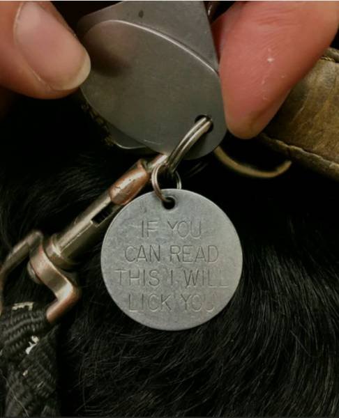 Bildschirmarbeiter - Picdump 17.02.2017