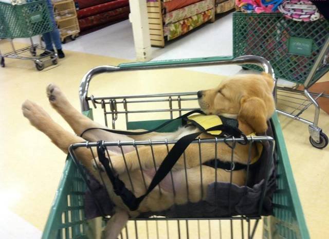 Bildschirmarbeiter - Picdump 17.02.2017