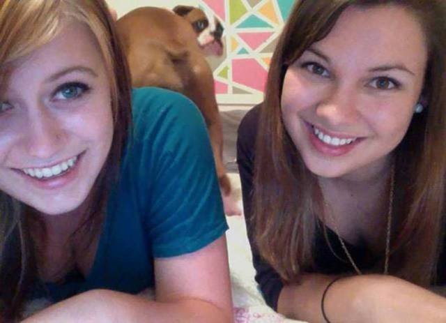 Bildschirmarbeiter - Picdump 17.02.2017