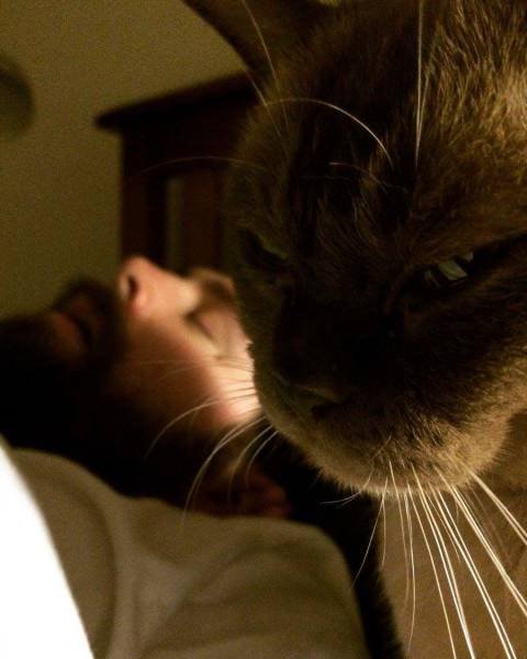 Bildschirmarbeiter - Picdump 17.02.2017