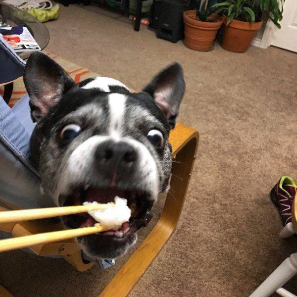 Bildschirmarbeiter - Picdump 17.02.2017