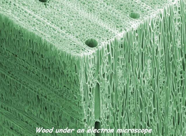 Bildschirmarbeiter - Picdump 17.02.2017