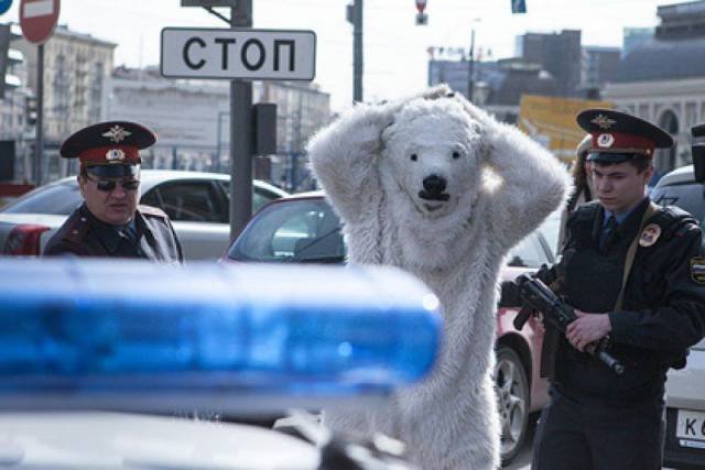 Bildschirmarbeiter - Picdump 17.02.2017