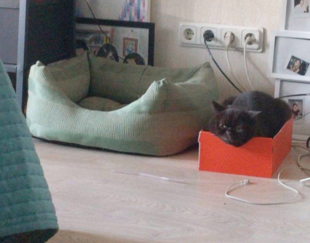 Bildschirmarbeiter - Picdump 17.02.2017