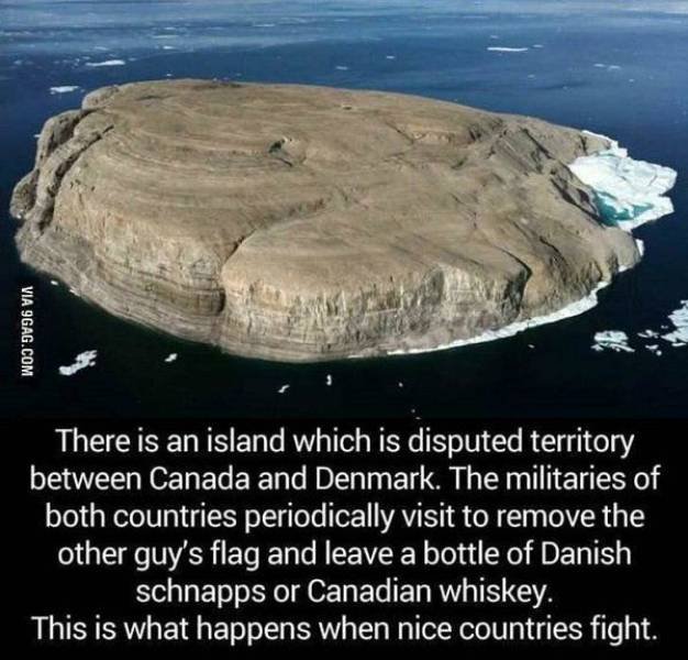 Bildschirmarbeiter - Picdump 17.02.2017