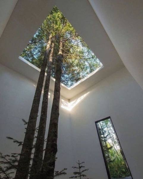 Bildschirmarbeiter - Picdump 17.02.2017