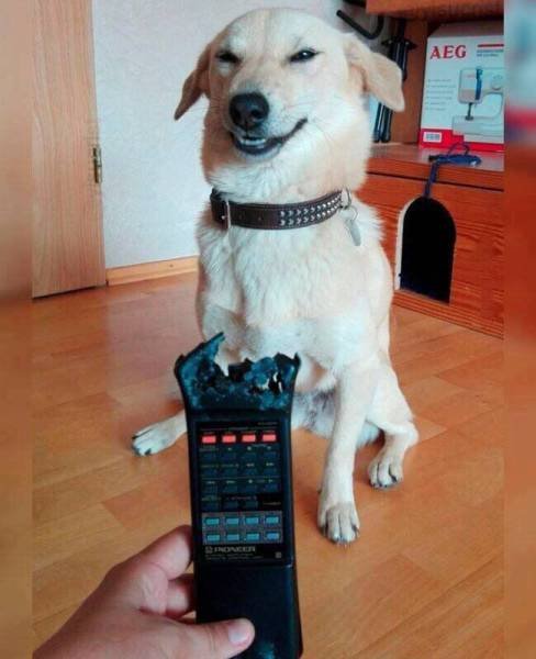 Bildschirmarbeiter - Picdump 17.02.2017