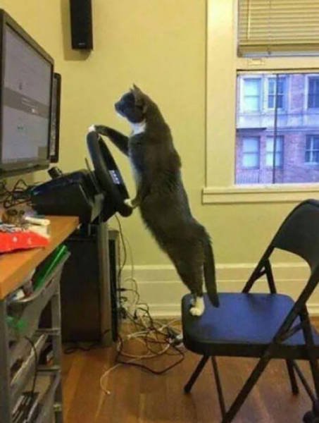 Bildschirmarbeiter - Picdump 17.02.2017