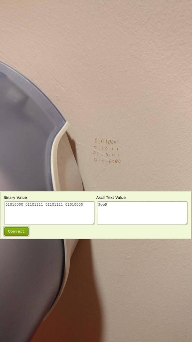 Bildschirmarbeiter - Picdump 17.02.2017