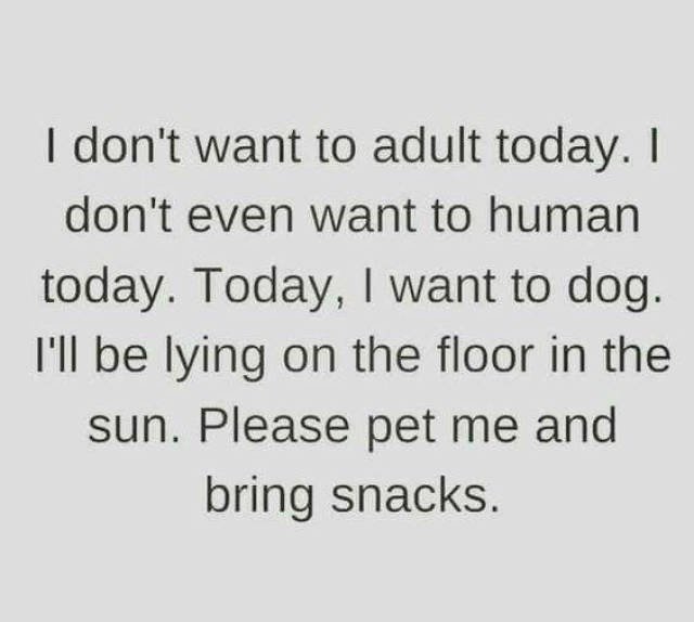 Bildschirmarbeiter - Picdump 17.02.2017