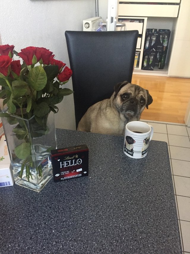 Bildschirmarbeiter - Picdump 17.02.2017