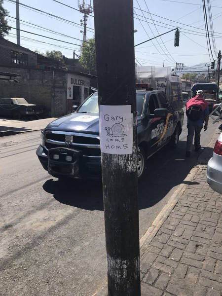 Bildschirmarbeiter - Picdump 17.02.2017