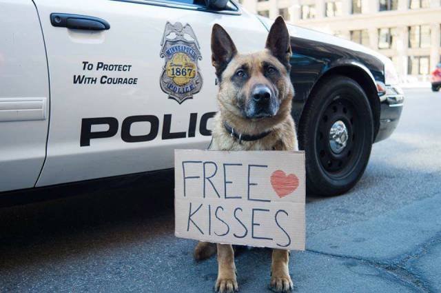 Bildschirmarbeiter - Picdump 17.02.2017