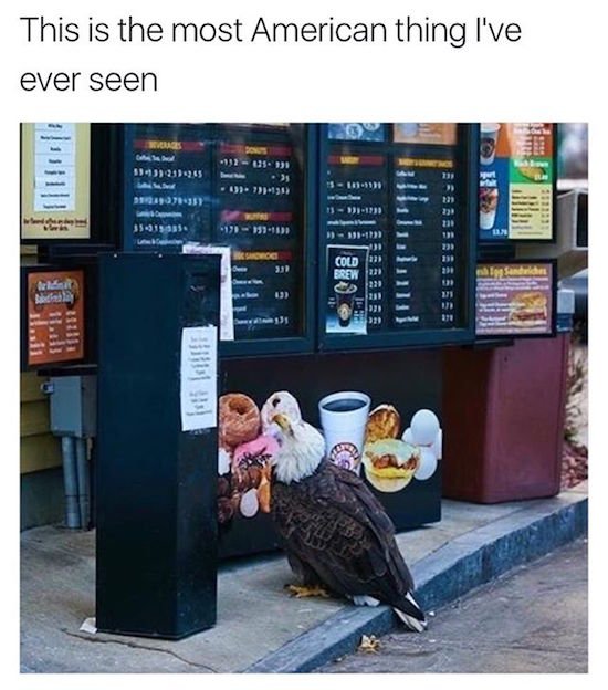 Bildschirmarbeiter - Picdump 17.02.2017