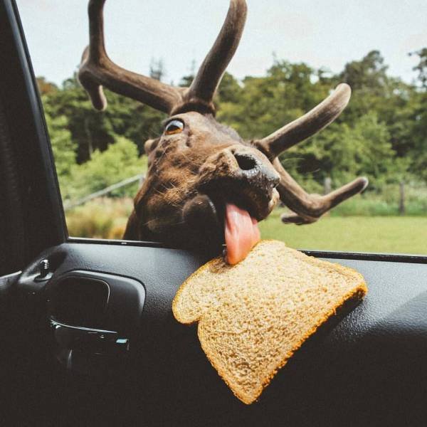 Bildschirmarbeiter - Picdump 24.02.2017