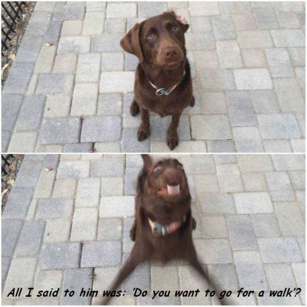 Bildschirmarbeiter - Picdump 24.02.2017