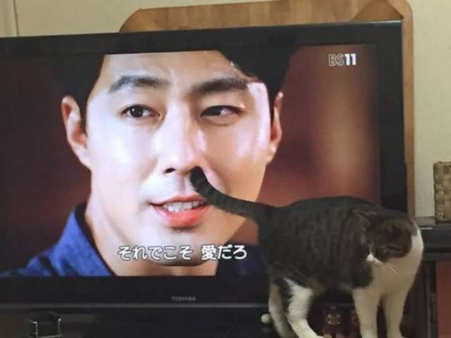 Bildschirmarbeiter - Picdump 24.02.2017