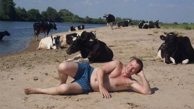 Bildschirmarbeiter - Picdump 24.02.2017