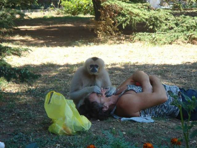 Bildschirmarbeiter - Picdump 24.02.2017