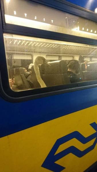 Bildschirmarbeiter - Picdump 24.02.2017