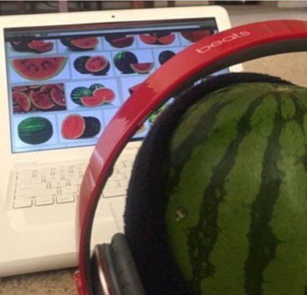 Bildschirmarbeiter - Picdump 24.02.2017