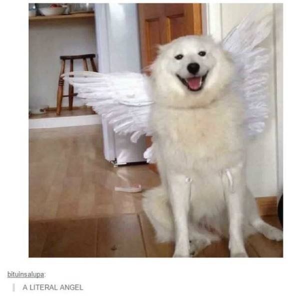 Bildschirmarbeiter - Picdump 24.02.2017