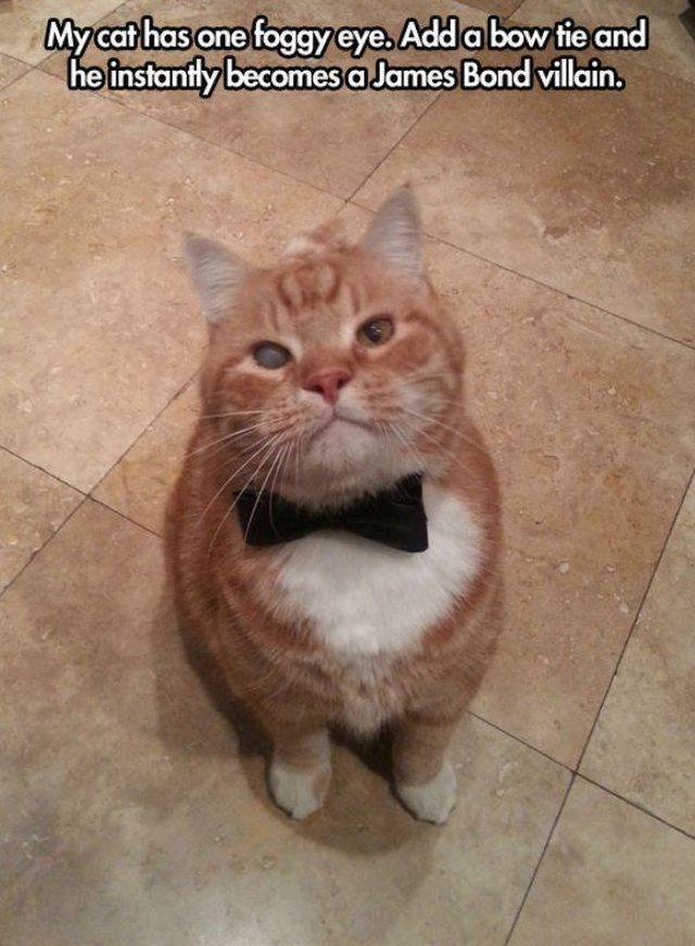 Bildschirmarbeiter - Picdump 24.02.2017