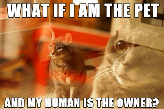 Bildschirmarbeiter - Picdump 24.02.2017