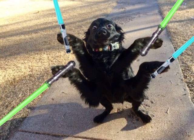 Bildschirmarbeiter - Picdump 24.02.2017