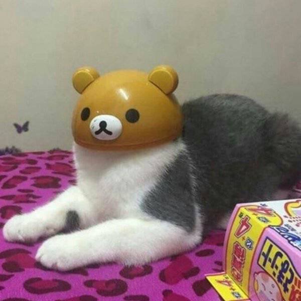 Bildschirmarbeiter - Picdump 24.02.2017