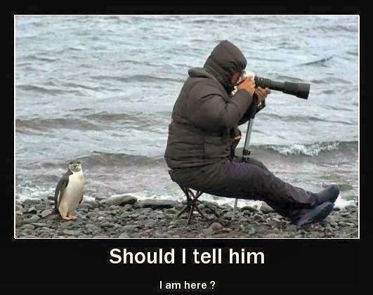 Bildschirmarbeiter - Picdump 24.02.2017