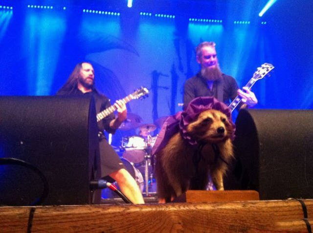 Bildschirmarbeiter - Picdump 24.02.2017