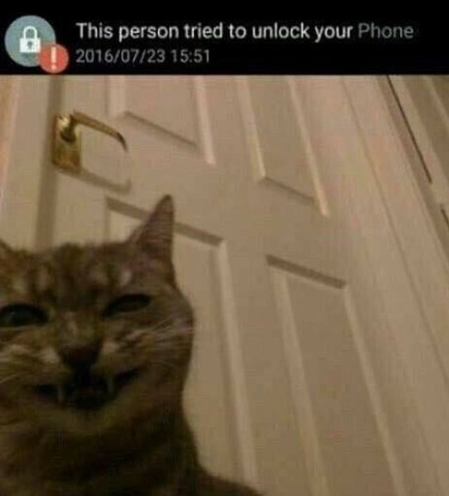 Bildschirmarbeiter - Picdump 03.03.2017