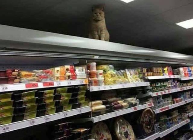 Bildschirmarbeiter - Picdump 03.03.2017