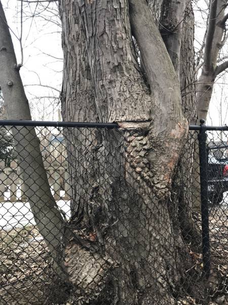 Bildschirmarbeiter - Picdump 03.03.2017