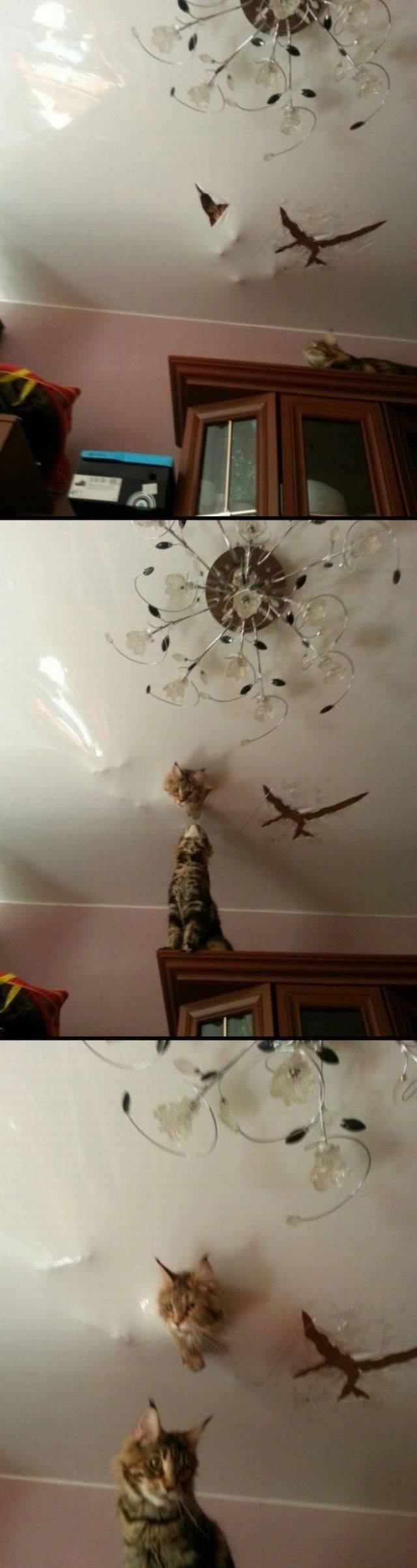 Bildschirmarbeiter - Picdump 03.03.2017