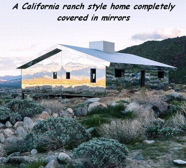 Bildschirmarbeiter - Picdump 03.03.2017