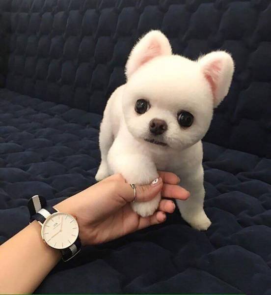 Bildschirmarbeiter - Picdump 03.03.2017