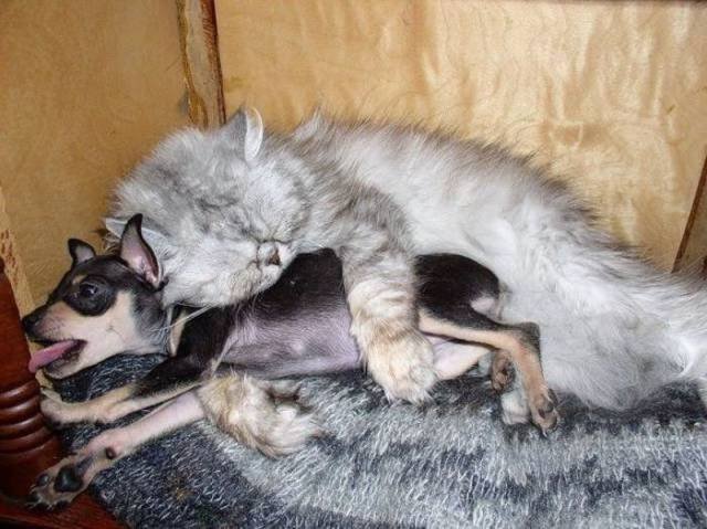 Bildschirmarbeiter - Picdump 03.03.2017