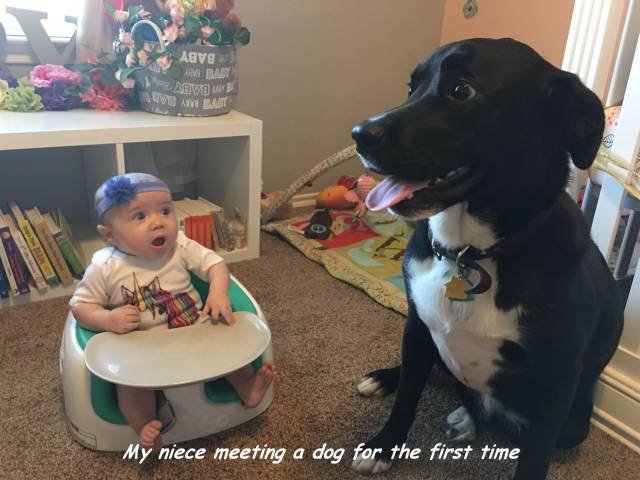 Bildschirmarbeiter - Picdump 03.03.2017