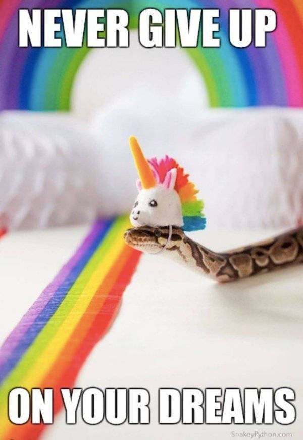 Bildschirmarbeiter - Picdump 03.03.2017