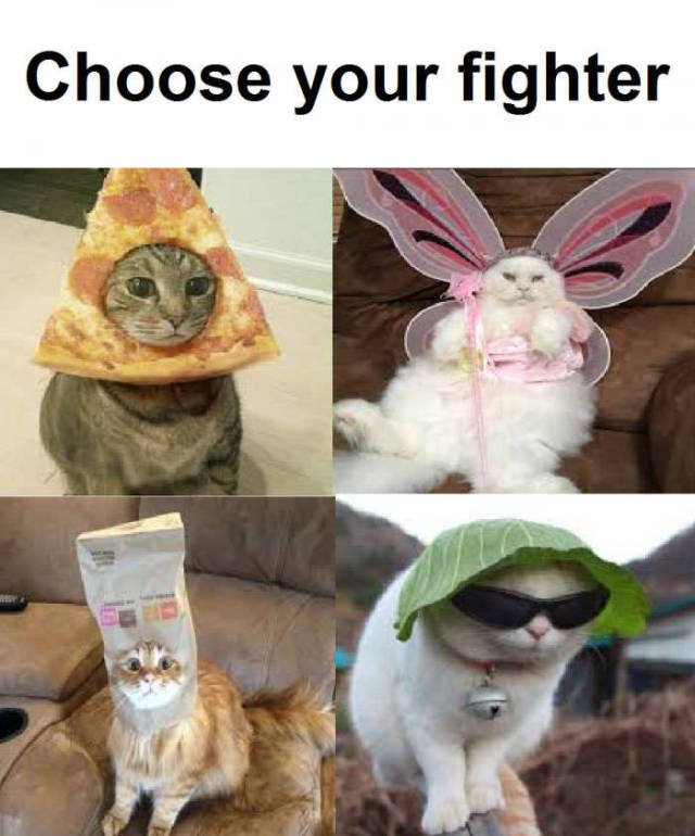 Bildschirmarbeiter - Picdump 03.03.2017