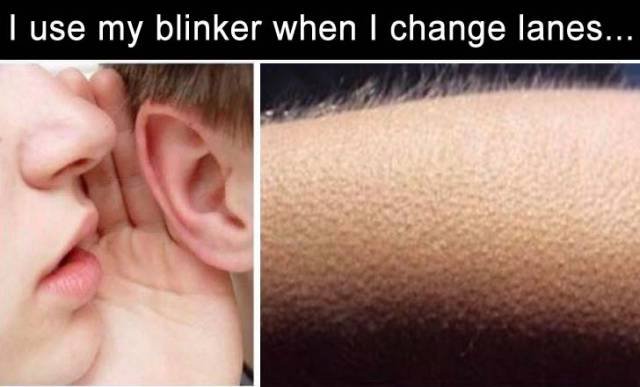 Bildschirmarbeiter - Picdump 03.03.2017