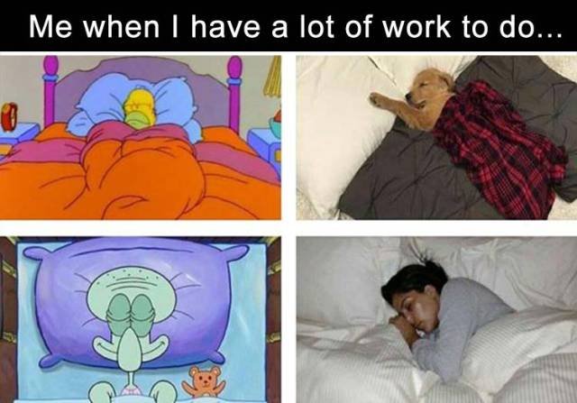 Bildschirmarbeiter - Picdump 03.03.2017