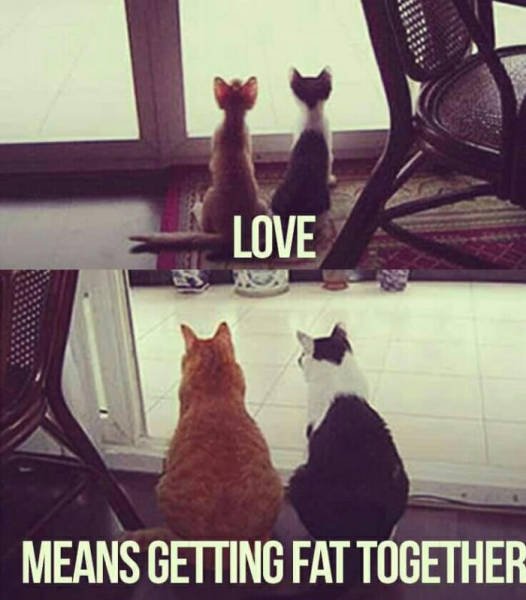 Bildschirmarbeiter - Picdump 03.03.2017