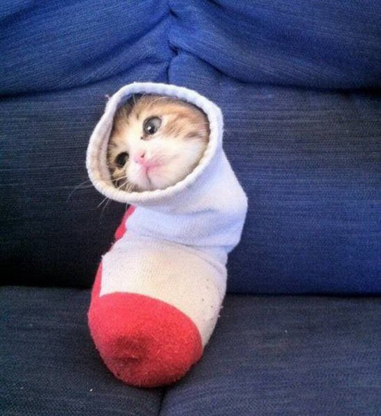 Bildschirmarbeiter - Picdump 03.03.2017