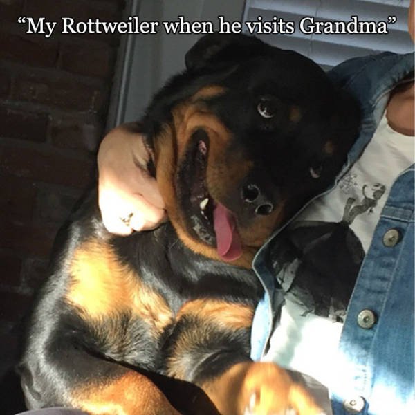 Bildschirmarbeiter - Picdump 03.03.2017